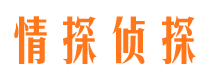 仪陇找人公司